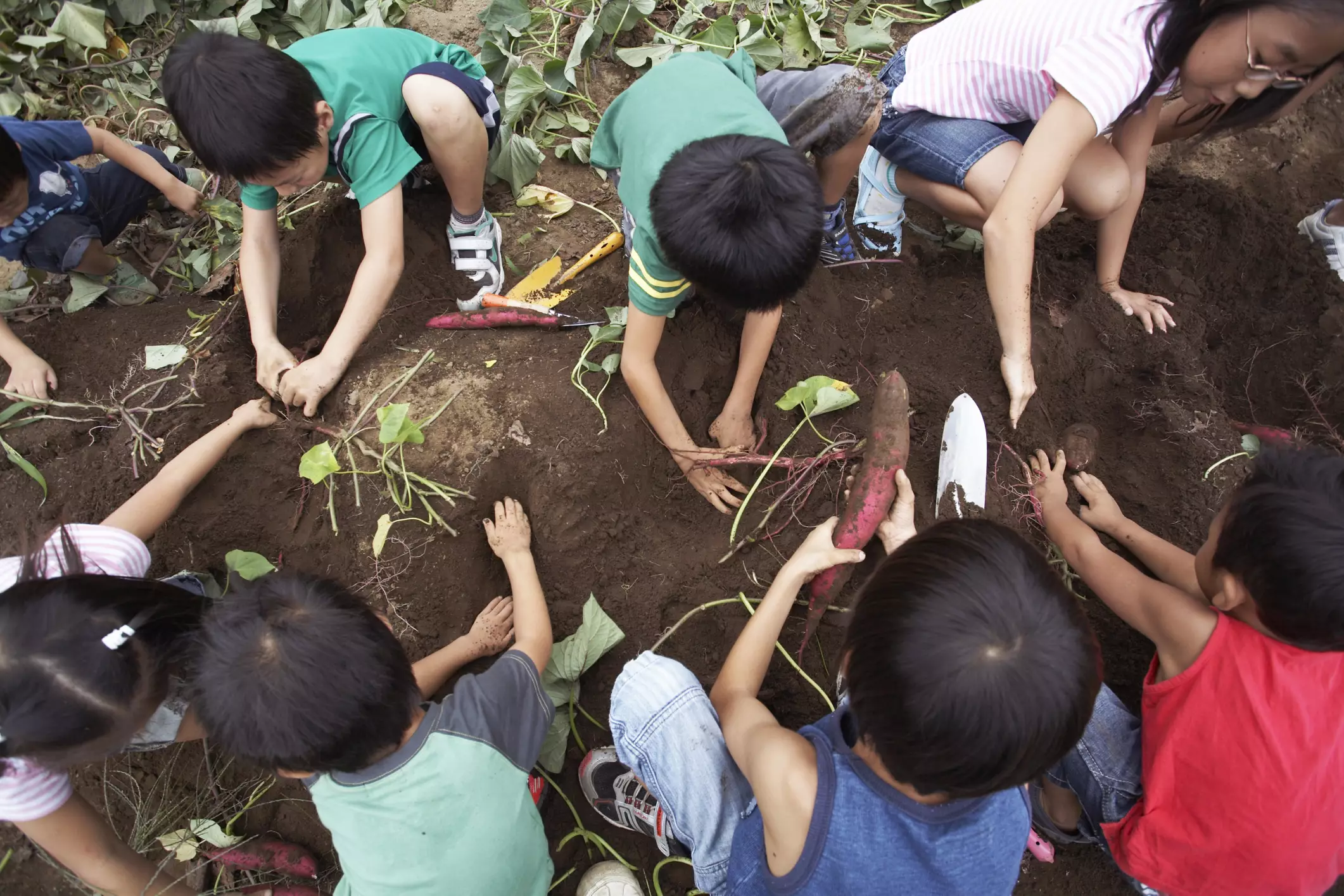 Nicht-traditionelles Lernen in der Schule mit ADHS-Kindern, die im Garten arbeiten